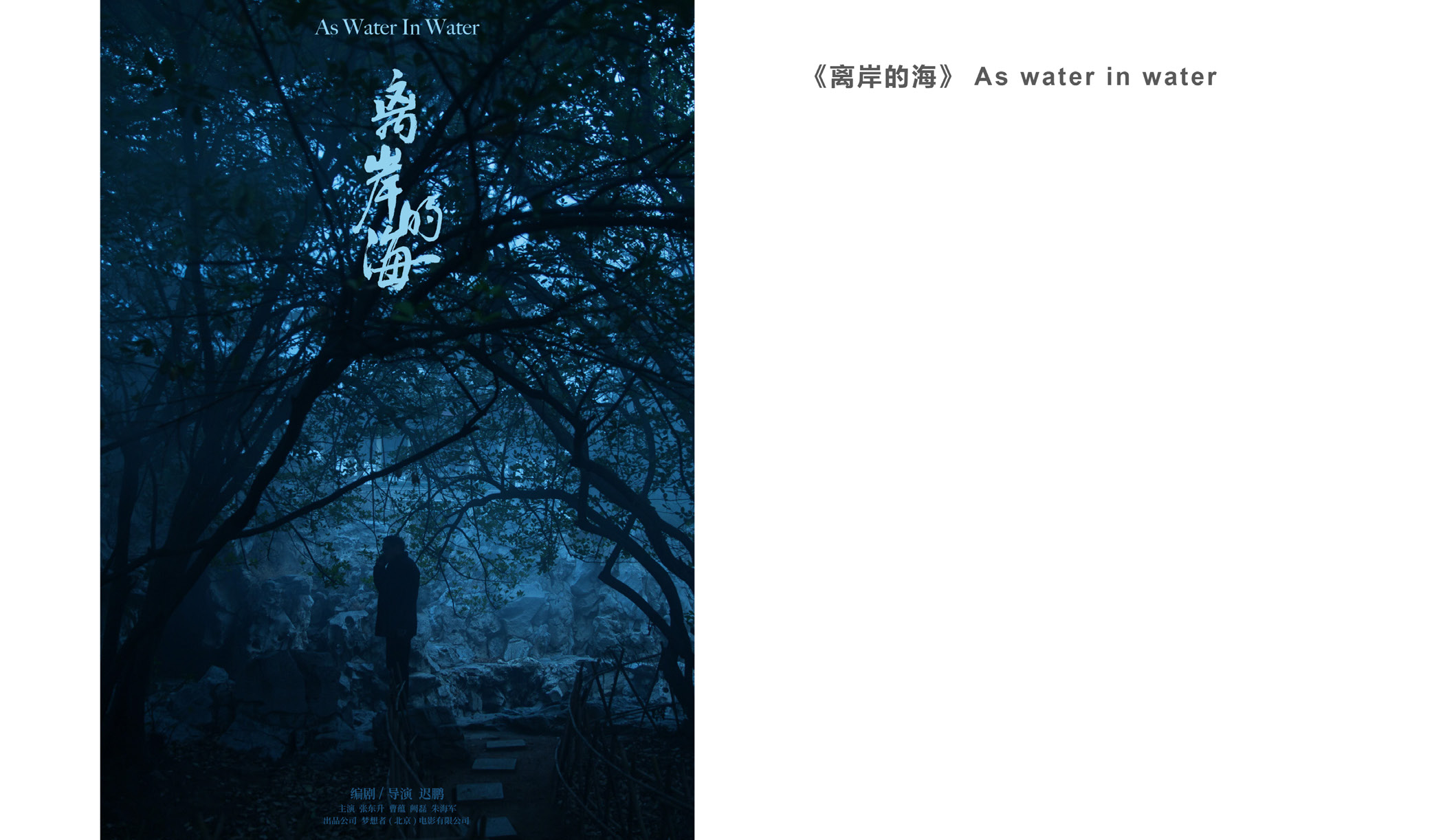 As Water in Water poster